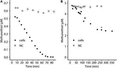 Methanethiol Consumption and Hydrogen Sulfide Production by the Thermoacidophilic Methanotroph Methylacidiphilum fumariolicum SolV